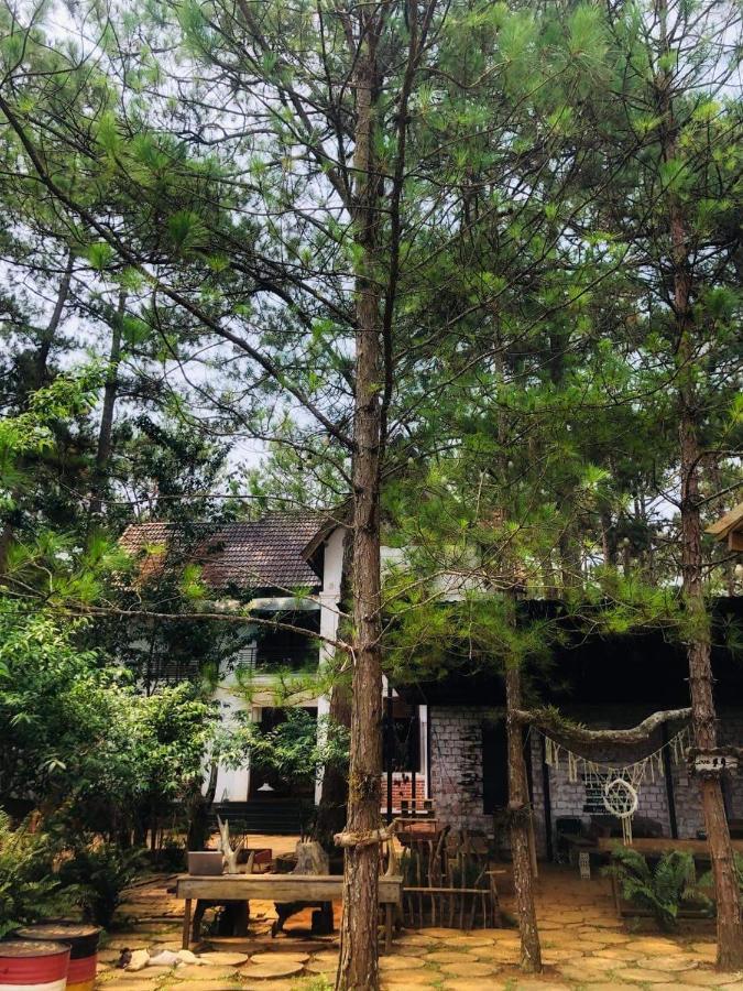 Chino Homestay Mang Den - Villa Tai Mang Den Tỉnh Kontum Zewnętrze zdjęcie
