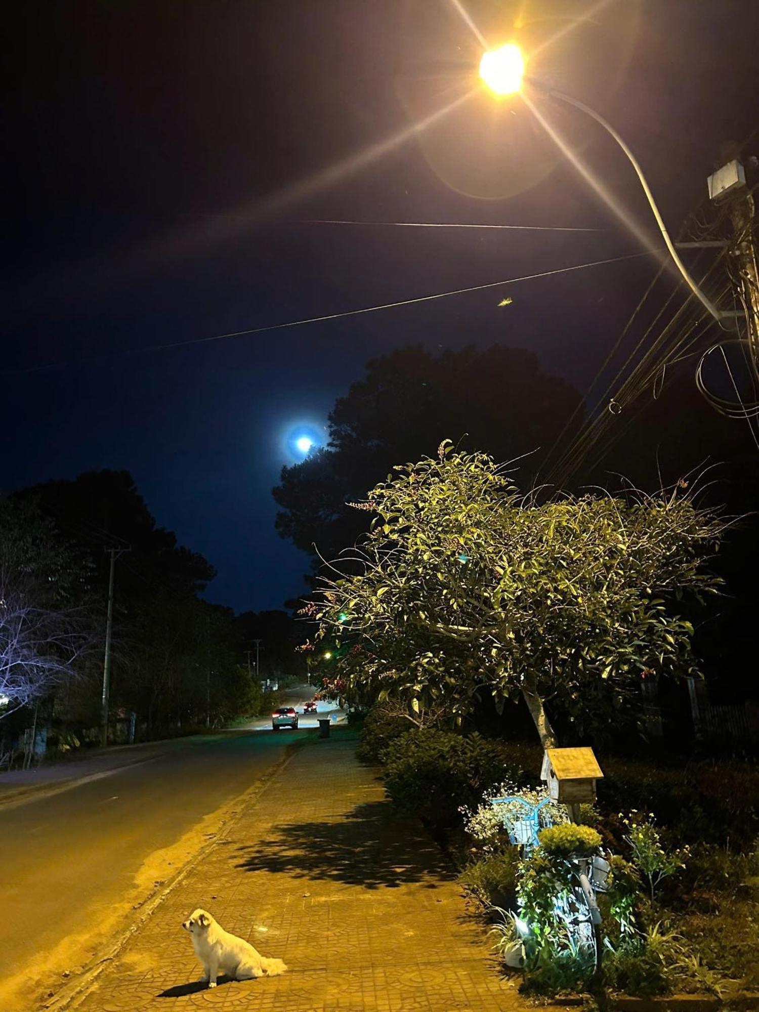 Chino Homestay Mang Den - Villa Tai Mang Den Tỉnh Kontum Zewnętrze zdjęcie