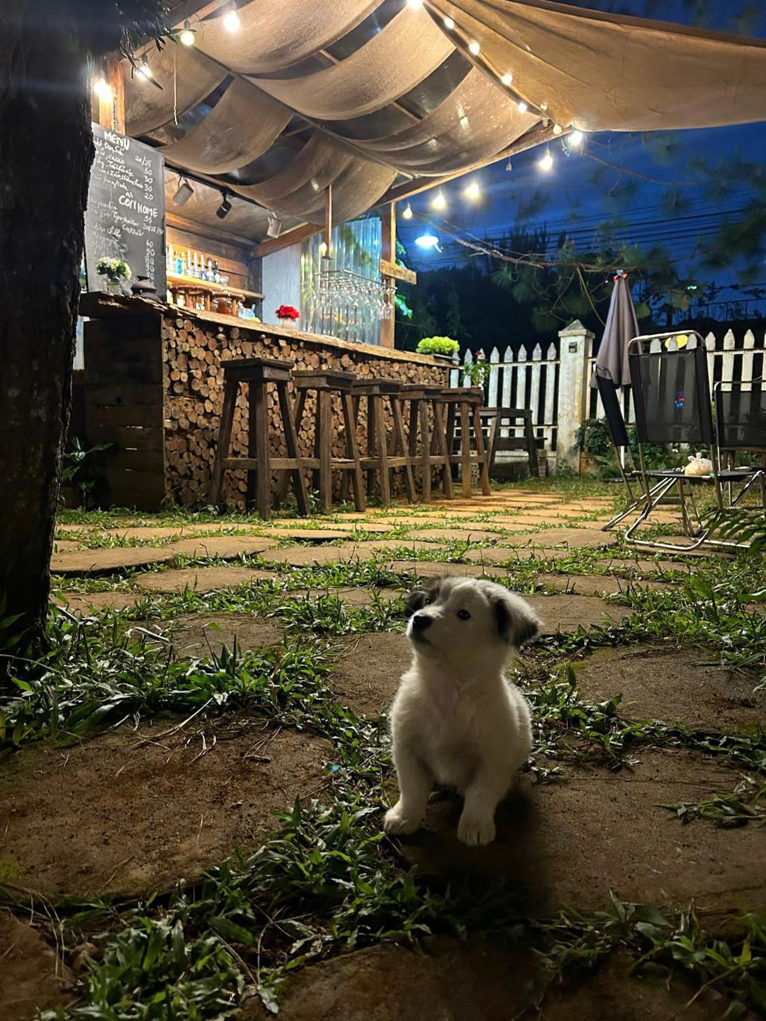 Chino Homestay Mang Den - Villa Tai Mang Den Tỉnh Kontum Zewnętrze zdjęcie